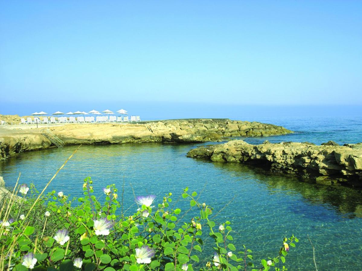 Cynthiana Beach Hotel Kissonerga Fasilitas foto